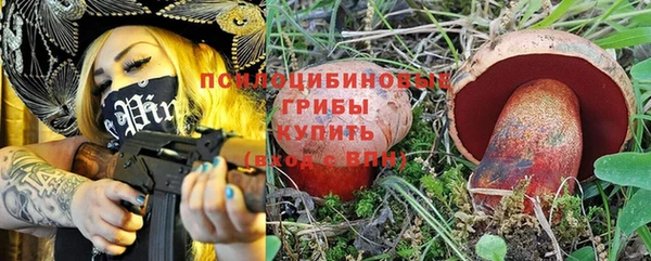 хмурый Пересвет