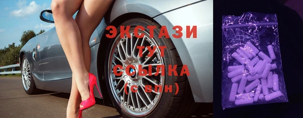 хмурый Пересвет