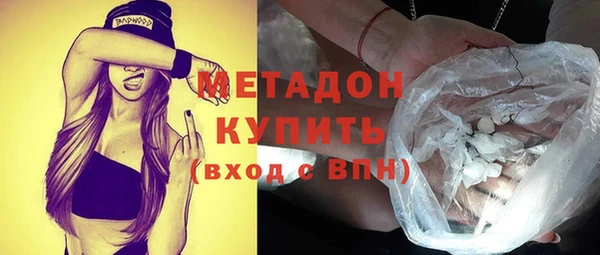 хмурый Пересвет