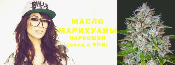 хмурый Пересвет