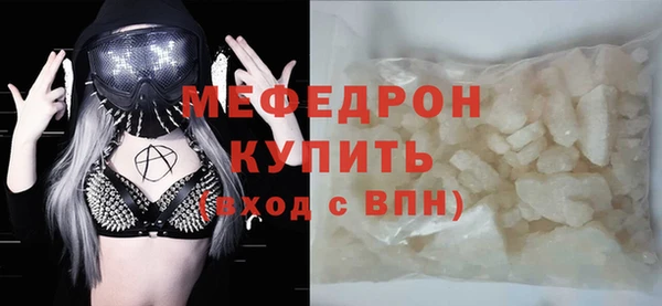 хмурый Пересвет