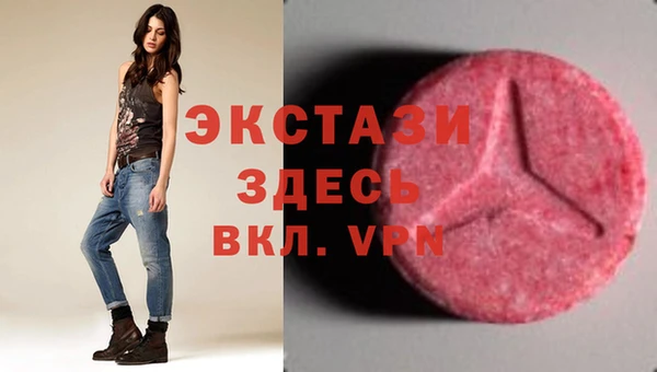 хмурый Пересвет