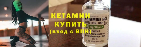 хмурый Пересвет