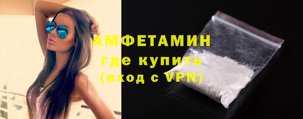 хмурый Пересвет