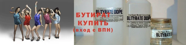 хмурый Пересвет