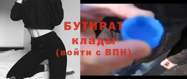 хмурый Пересвет