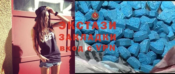 хмурый Пересвет