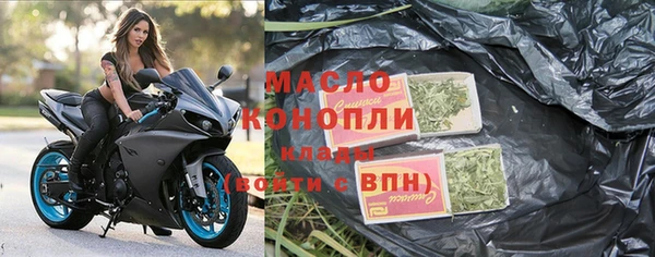 хмурый Пересвет