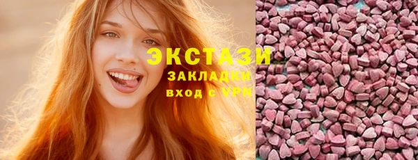 хмурый Пересвет